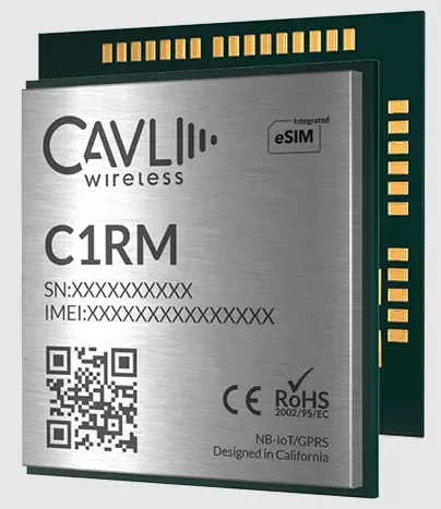 C1RM is an NB-IoT module with 2G fallback and integrated eSIM for global data connectivity.