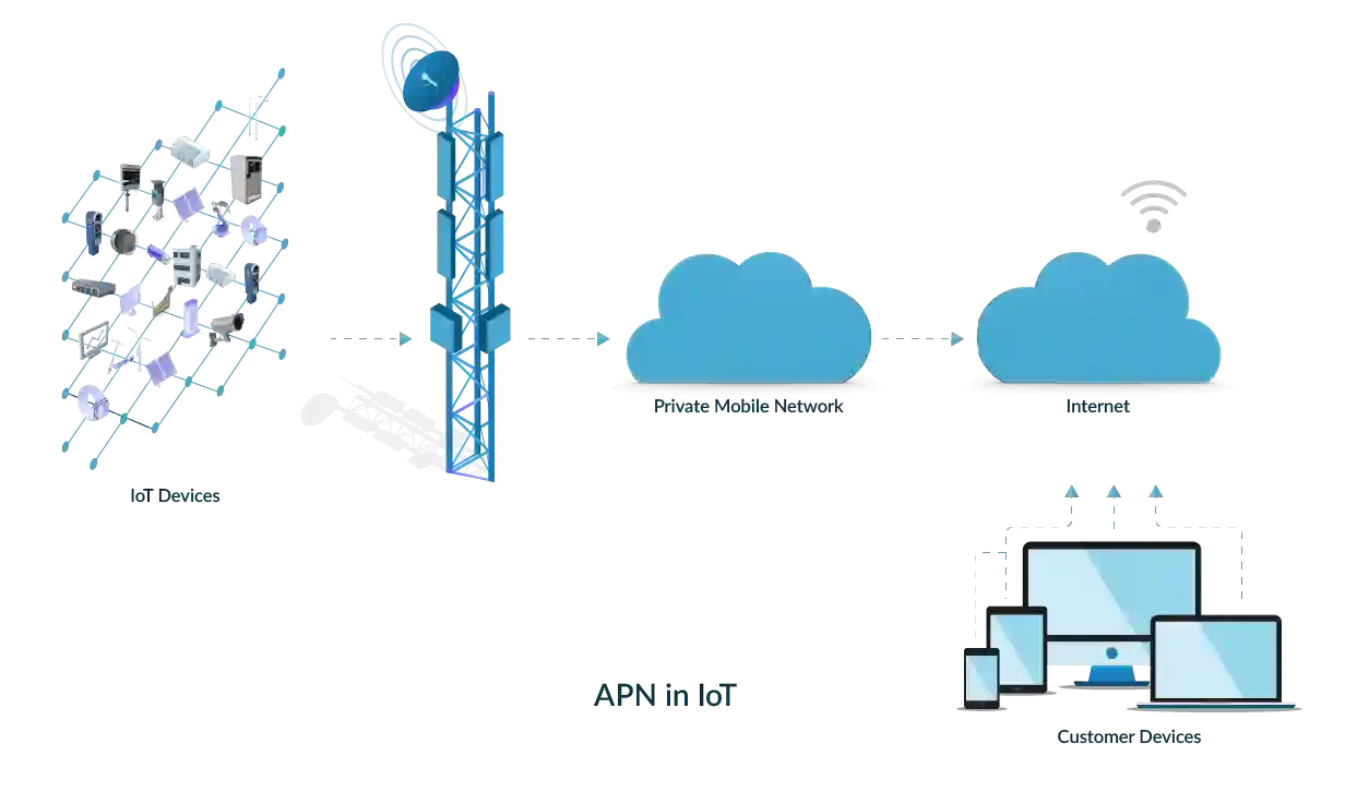 Access point names in IoT connectivity